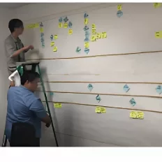 Complex Value Stream